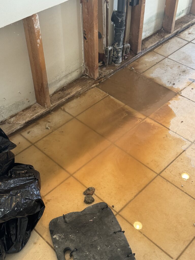 Kitchen Flood Due To Slab Leak